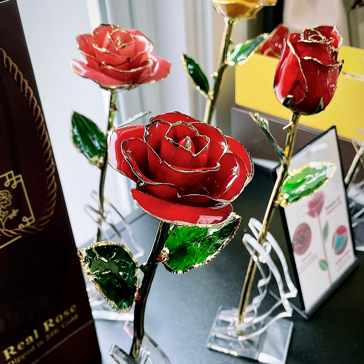 Real rose covered hot sale in 24k gold