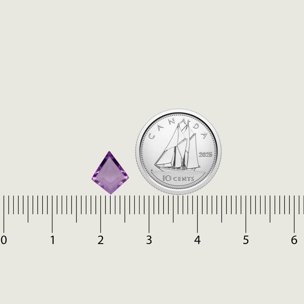 Mathieu Blanchard Améthyste Naturel Taille Bouclier