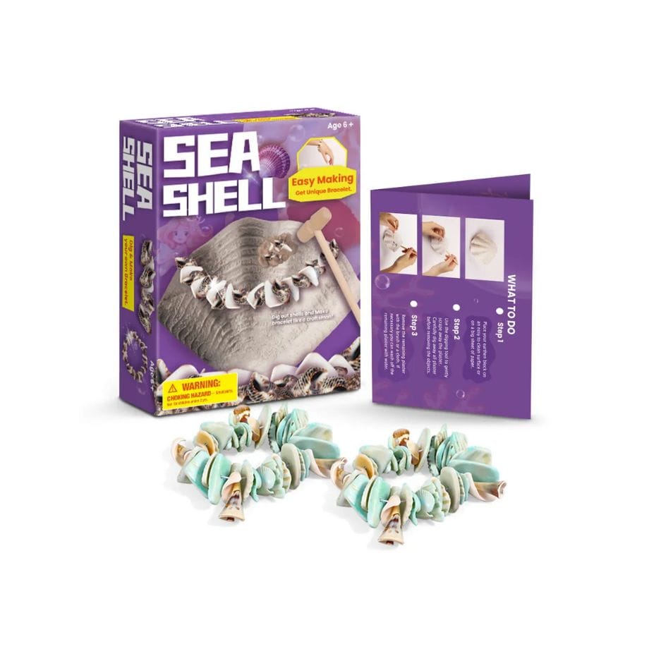 - Ensemble découverte de creusement de pierres Coquillage