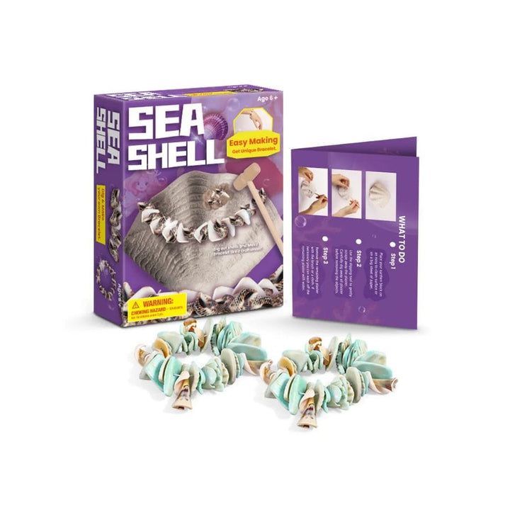 - Ensemble découverte de creusement de pierres Coquillage