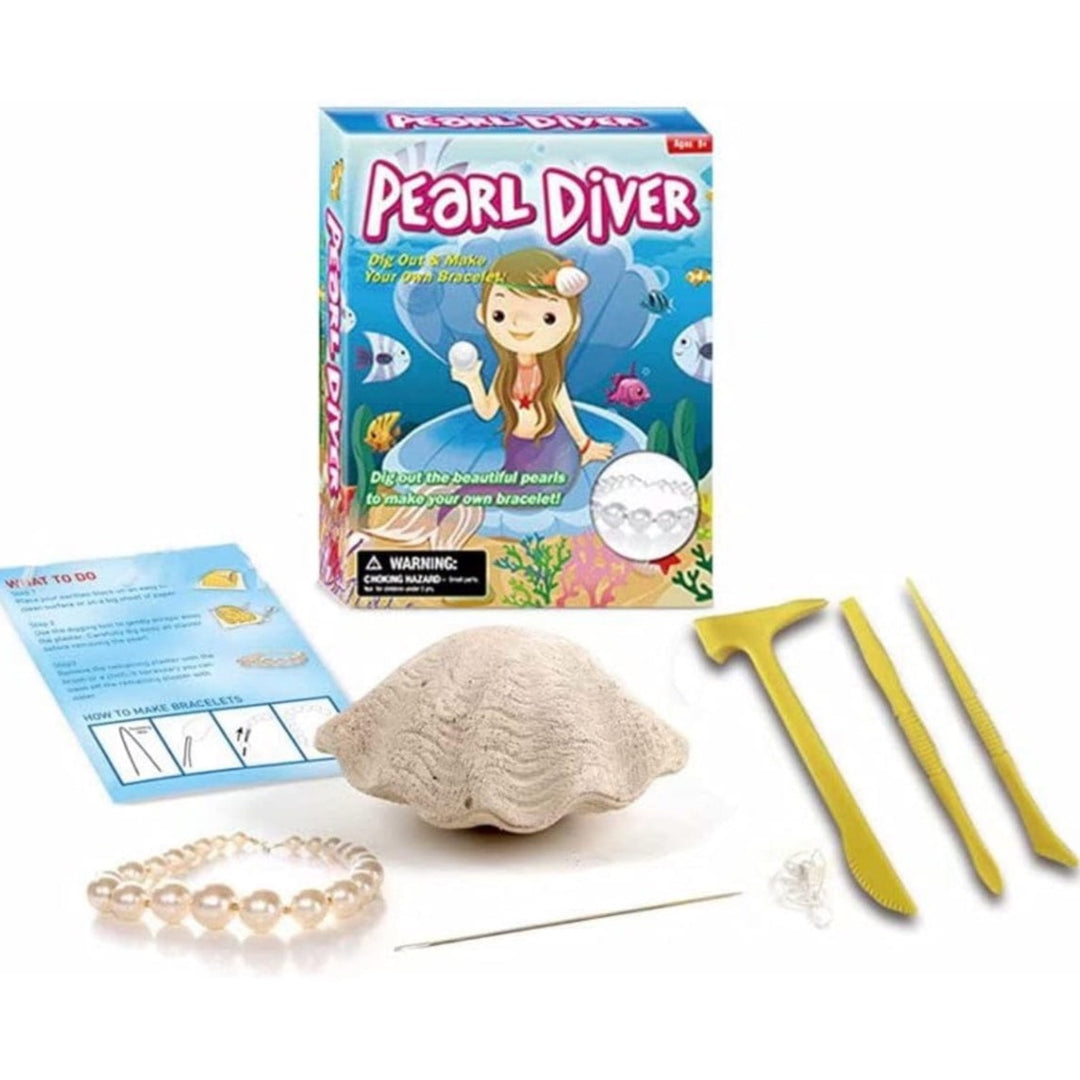 - Ensemble découverte de creusement de pierres Coquillage