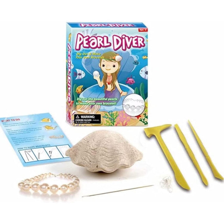 - Ensemble découverte de creusement de pierres Coquillage