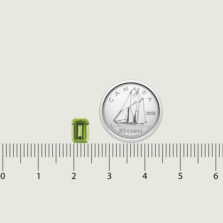 Mathieu Blanchard Péridot Naturel Taille Émeraude 5x7 mm