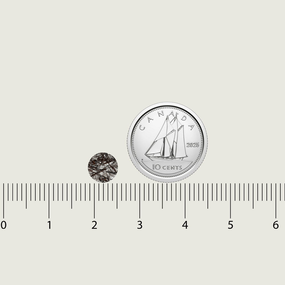 Mathieu Blanchard Quartz Naturel Rutilé Taille brillant rond 6 mm