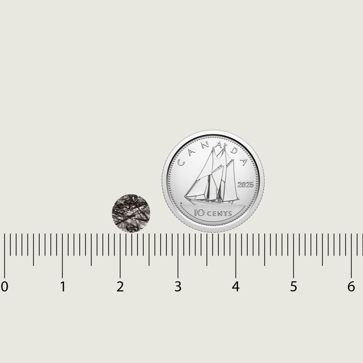 Mathieu Blanchard Quartz Naturel Rutilé Taille brillant rond 6 mm