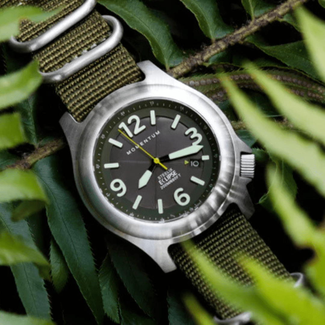 Momentum Montres Nylon Montre à énergie solaire 44mm Steelix Eclipse vert