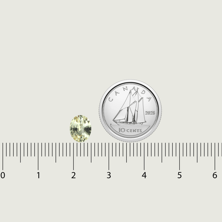 Mathieu Blanchard Saphir Naturel Amarillo Taille Oval 6.3 x 7.8 mm