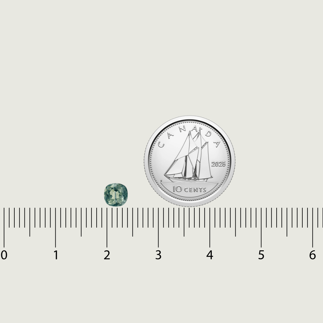 Mathieu Blanchard Saphir Naturel Dry Cottonwood Creek - Montana Taille Cushion 4.75 mm