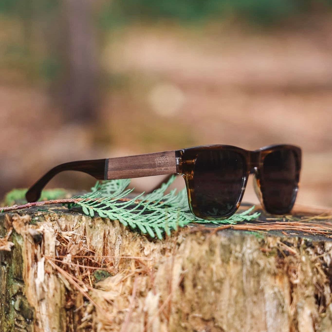 Lunette de soleil Roadtrip XL ambre en bois mathieublanchard.ca